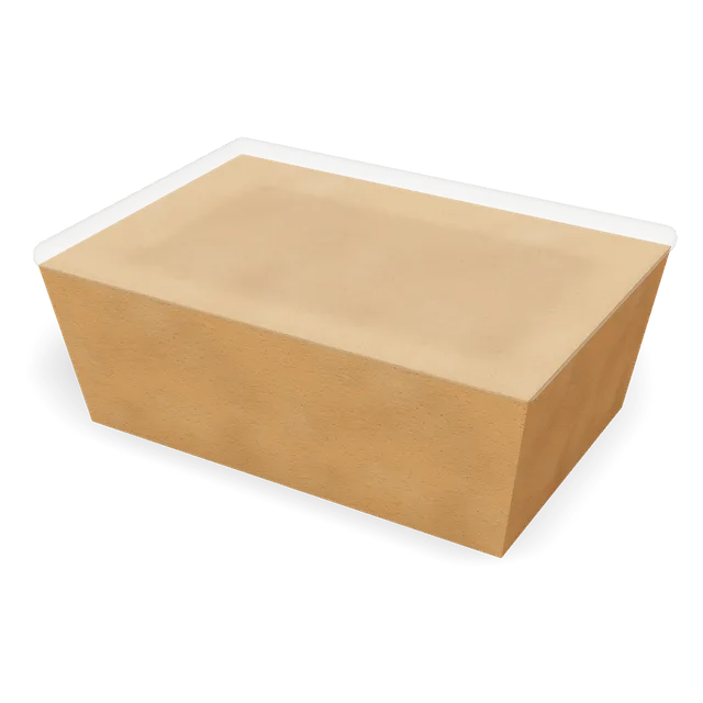 Kraft rectangular container with PP lid